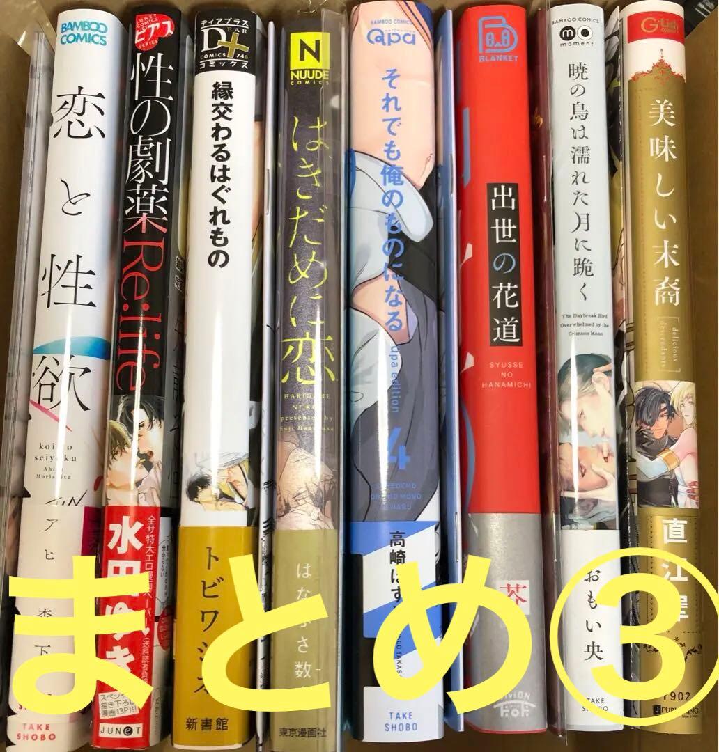 BLコミックスまとめ③バラ売り2冊〜