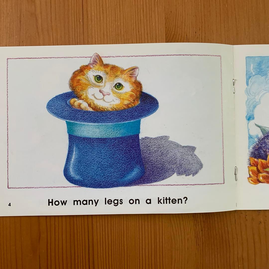 CTP Learn To Read 18冊➕CD3枚付き　英語絵本　多読　人気！