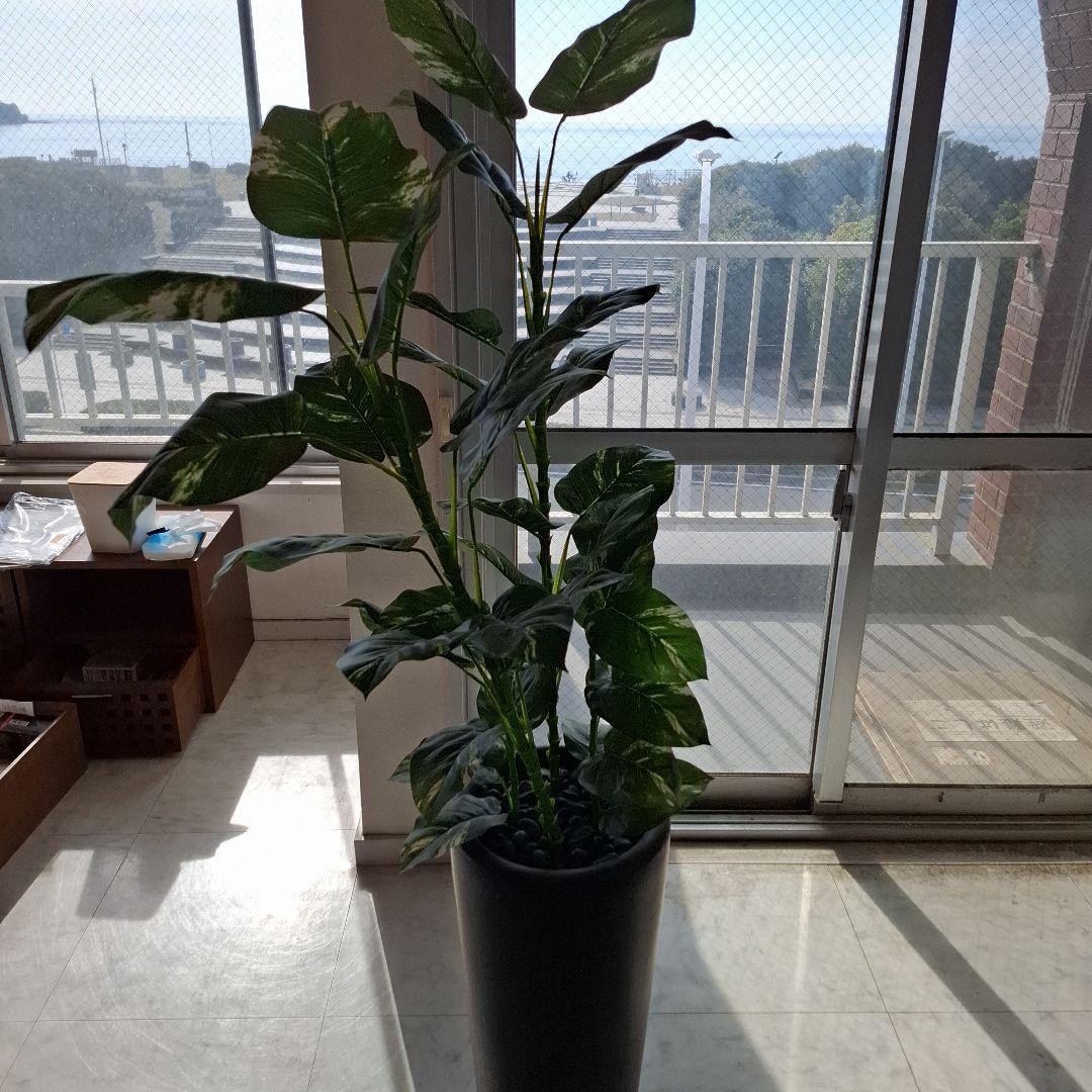 人工観葉植物 約150cm 黒ポット