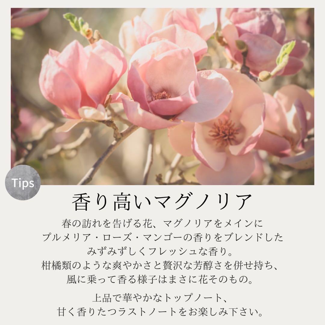 L/（エルスラッシュ）シャンプー＆トリートメントSET■くせ毛ダメージ