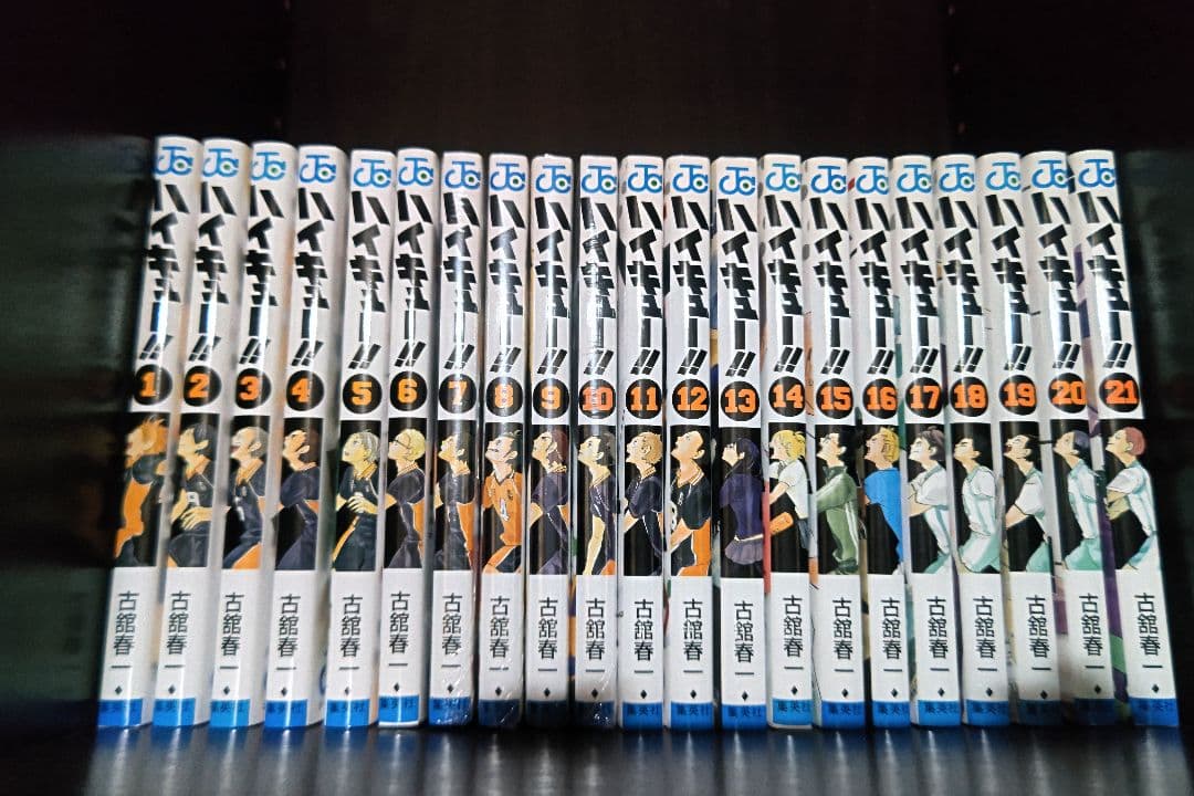 ハイキュー!! 全45巻セット(美品)+その他