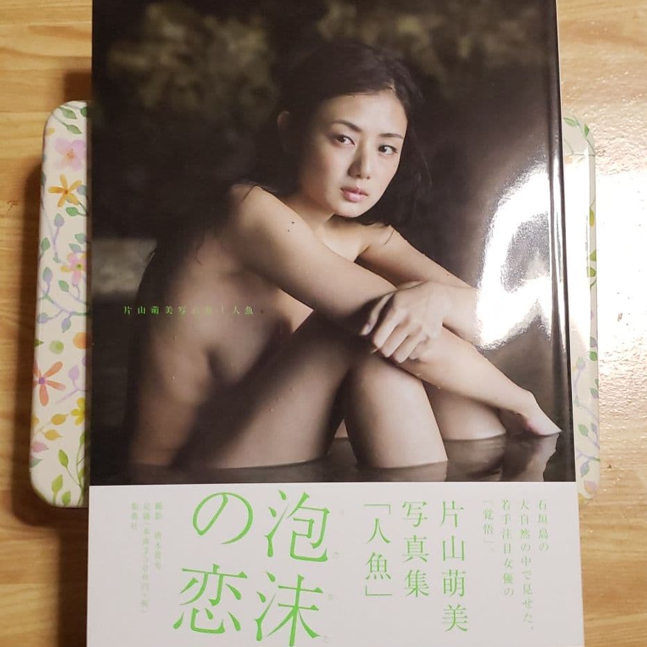 片山萌美写真集 人魚