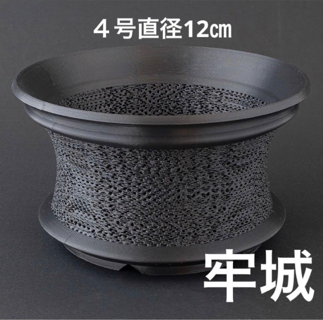 NOAH様　稲光溶岩５号　雷鳴紫５号　牢城４号