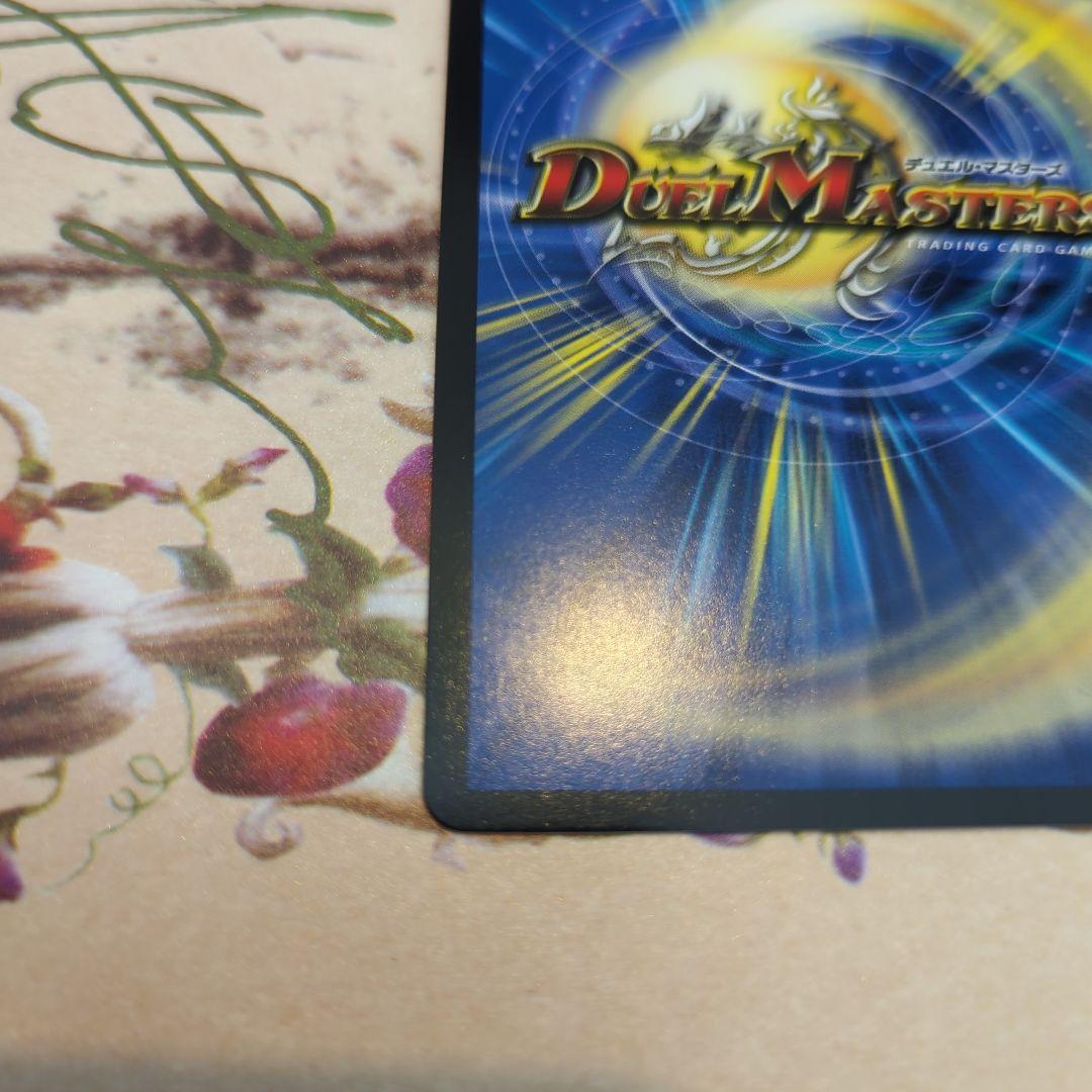 忍蛇の聖沌 c0br4 金トレジャー 2枚