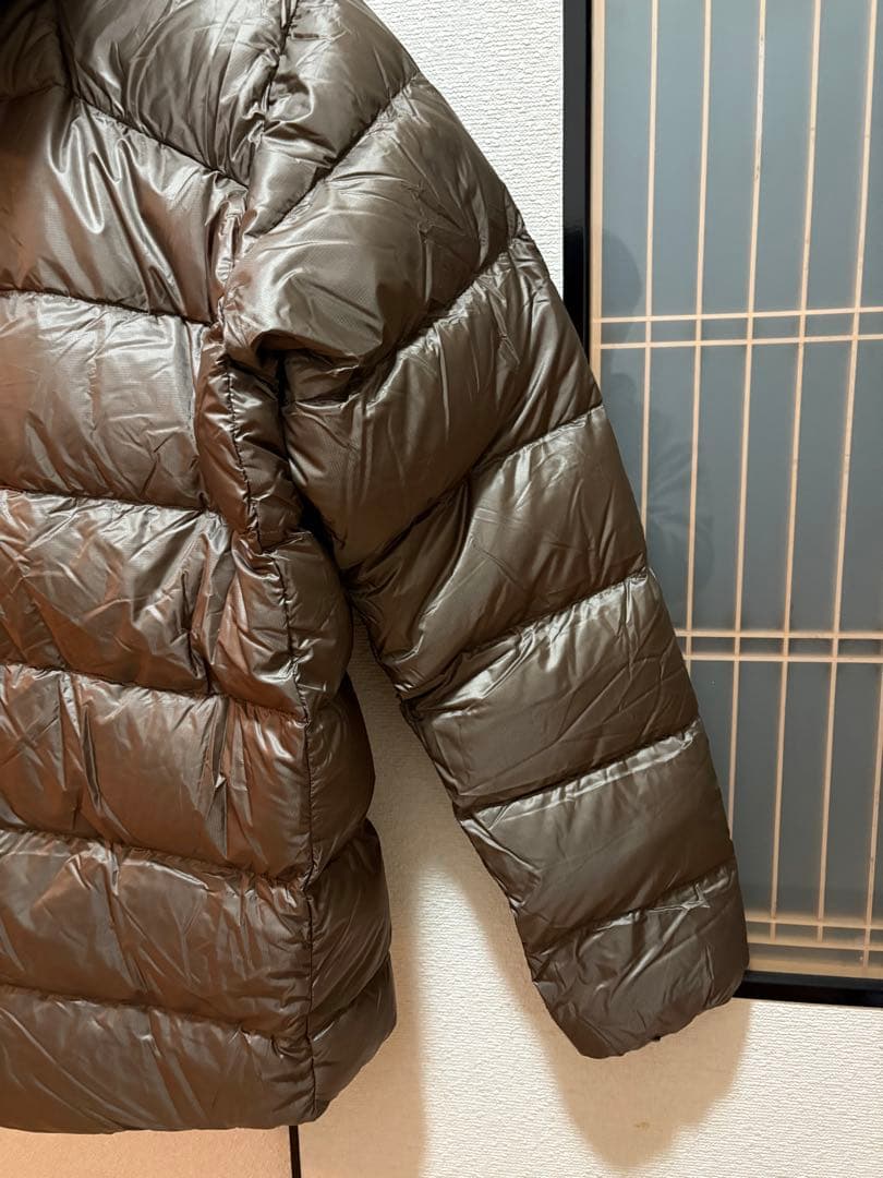 パタゴニア フィッツロイダウンフーディ MRLB 新品 Lサイズ