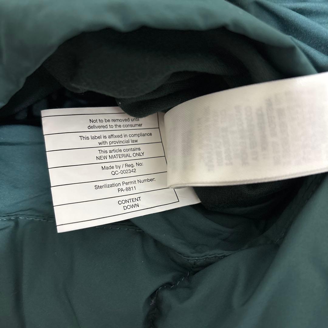 ヒーロー様美品パタゴニアリバーシブルサイレントダウンジャケットFA22 Lサイズ