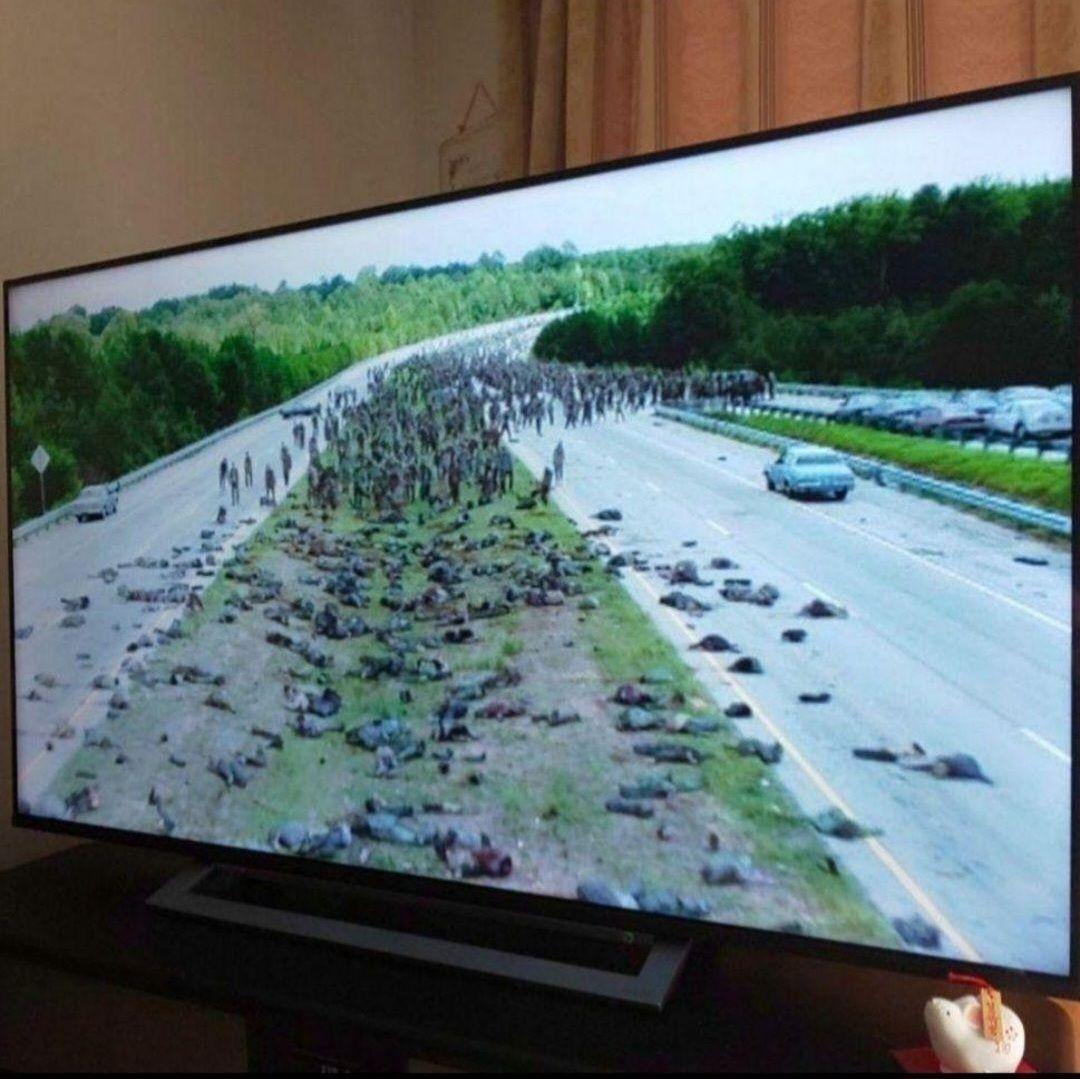 ウォーキング・デッド ◆Season 1～11■コンプリート■