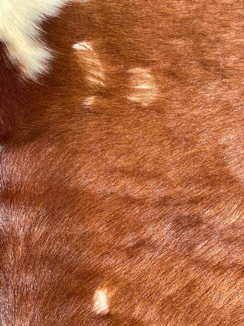 天然牛革ラグ 約210cm x 約195cm/本革大判本物/大きめカウラグ