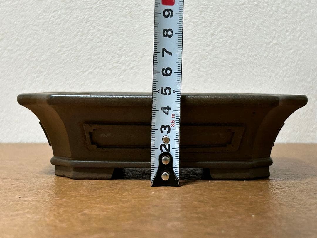 小松泉　秋静庵　小品盆栽　山野草