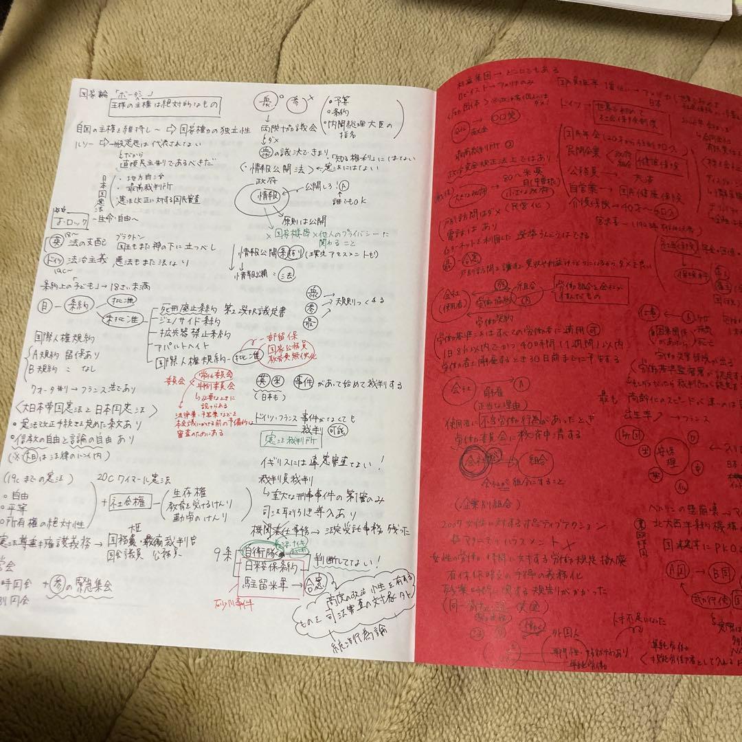 公共政治経済　駿台内田洋　6点セット