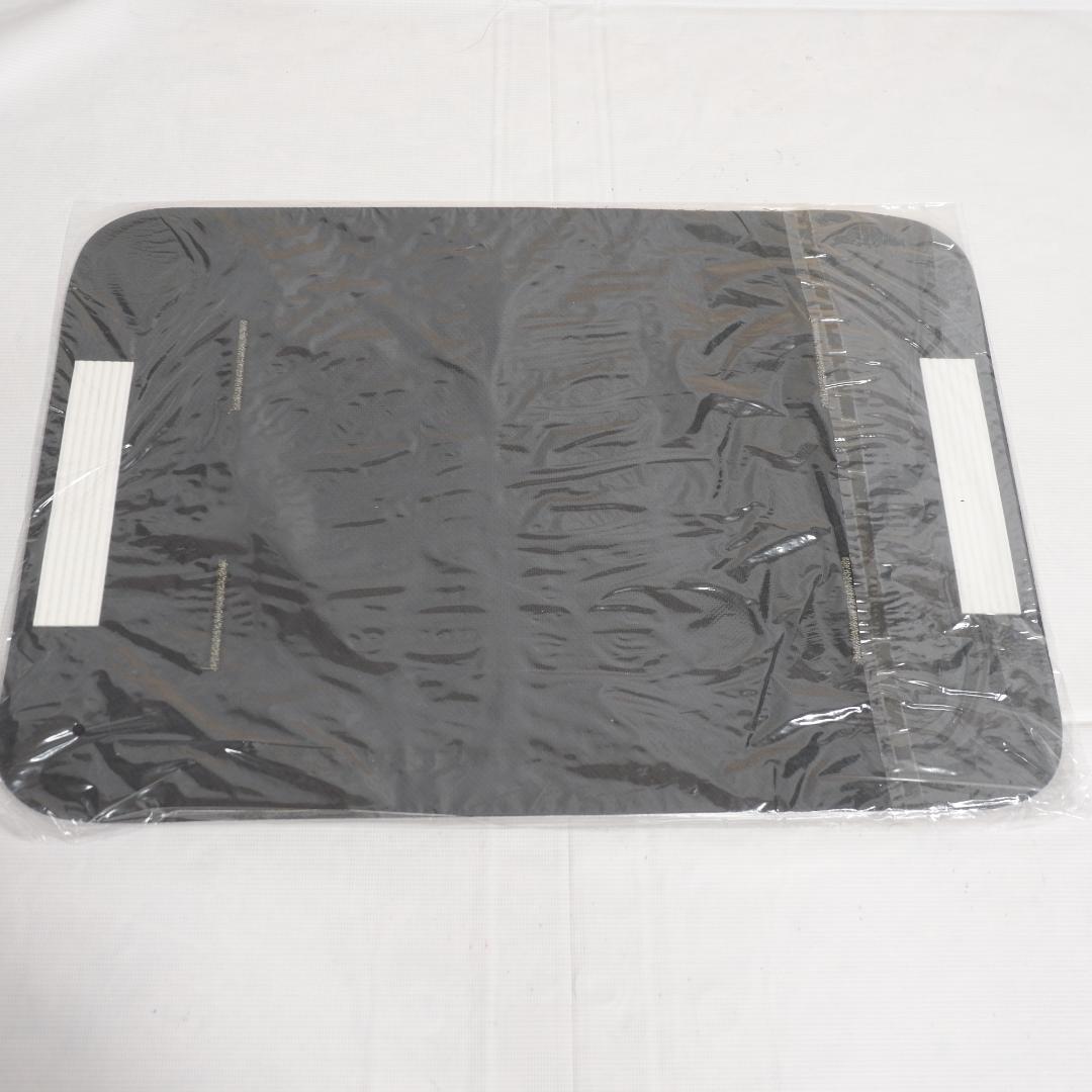 issin スマートバスマット SBM24W01LJ 2024年 体組成計モデル