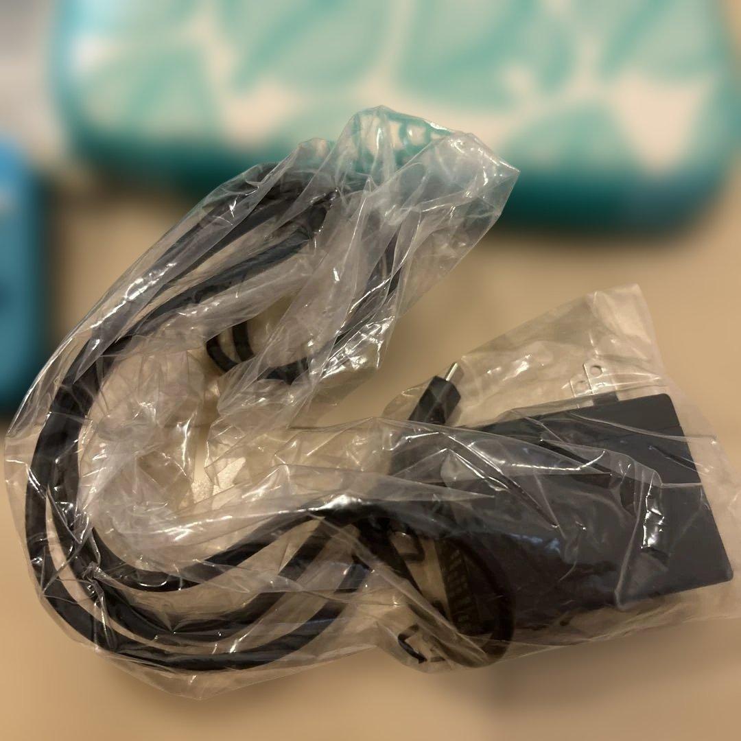 Nintendo Switch Lite ターコイズ　ケース付き。