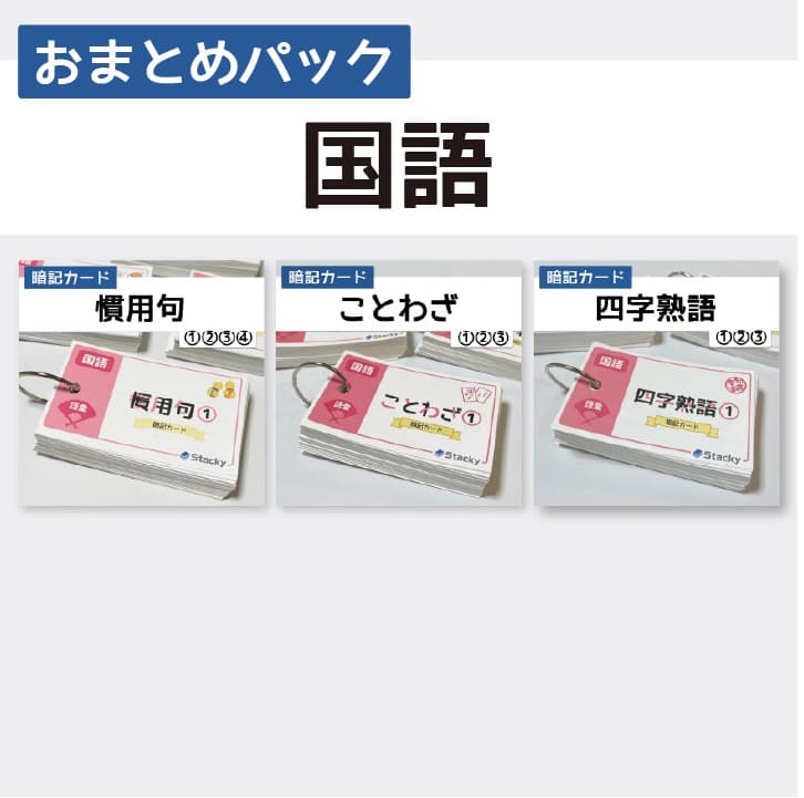 中学受験 国語 暗記カード【MX029】