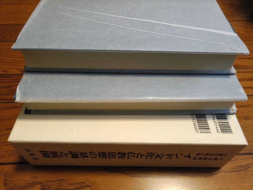 インド文化と仏教思想の展開 2巻セット