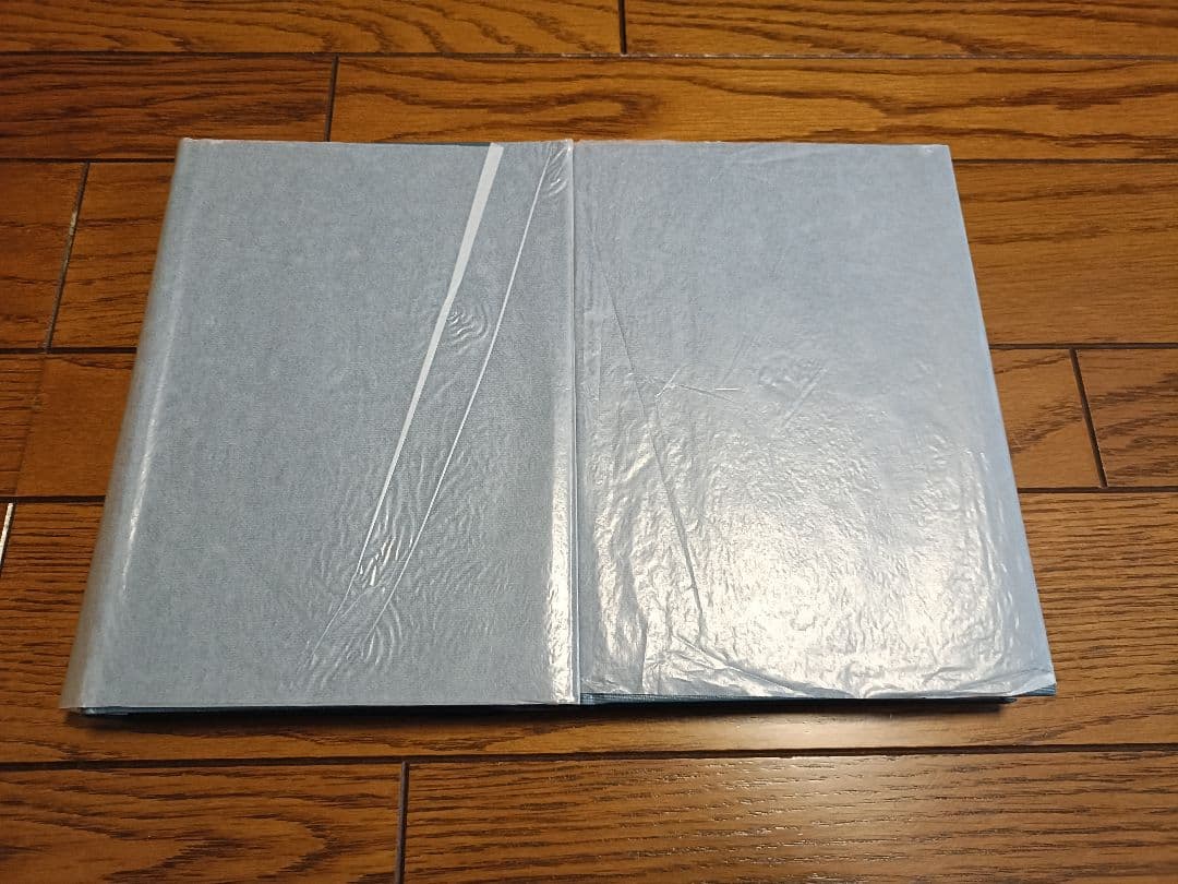 インド文化と仏教思想の展開 2巻セット