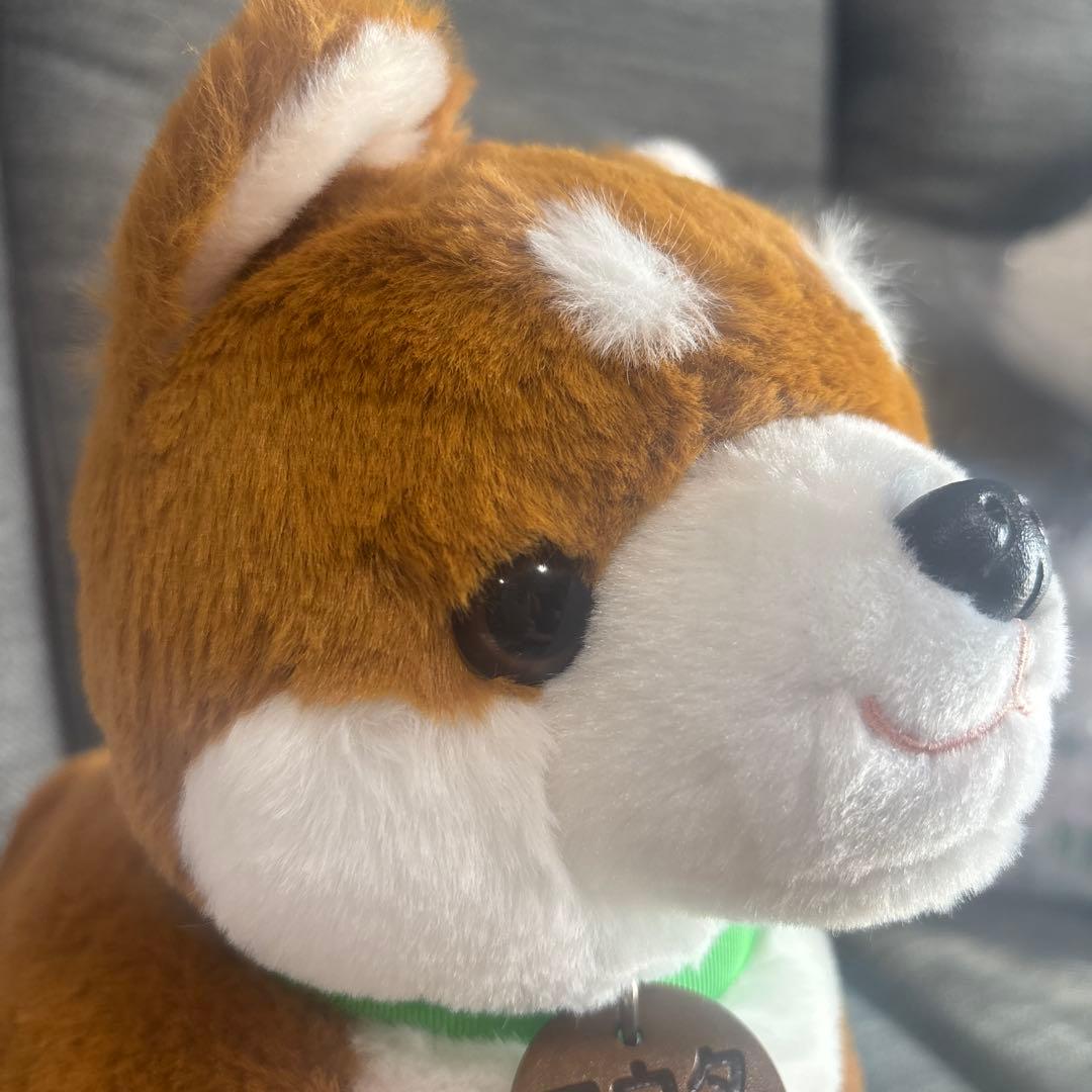 しばいぬコウタ　バンダナ無し