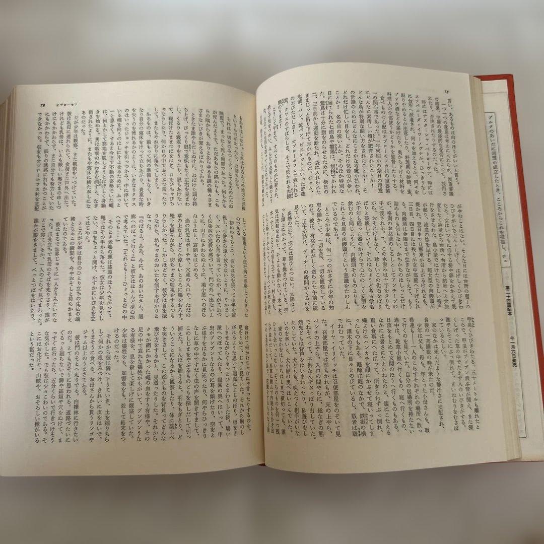 世界文学大系全集23巻