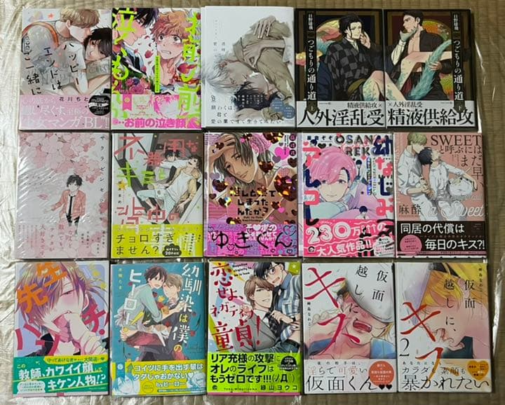 29 BL本まとめ売り　ボーイズラブコミックス　BOYS LOVE COMICS