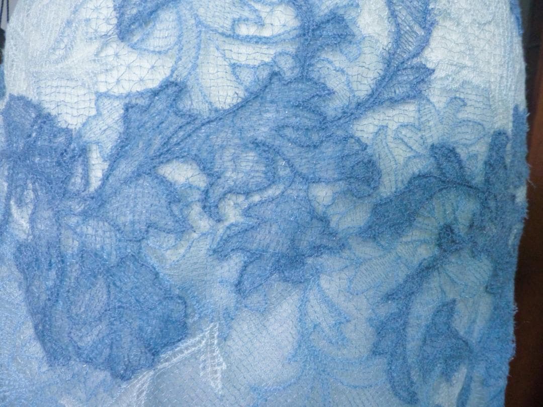 Erica　TadashiShoji ボタニカル青のグラデーションドレス2