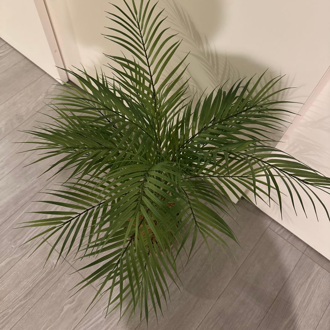 Prima フェイクグリーン 観葉植物 アレカヤシ
