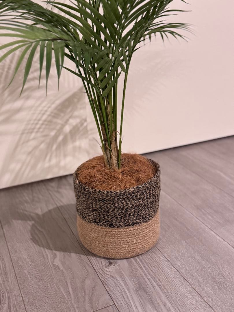 Prima フェイクグリーン 観葉植物 アレカヤシ