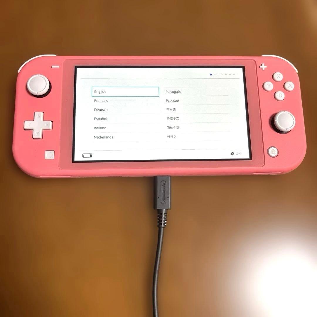 【美品✨】2025年購入 Nintendo Switch Lite 本体