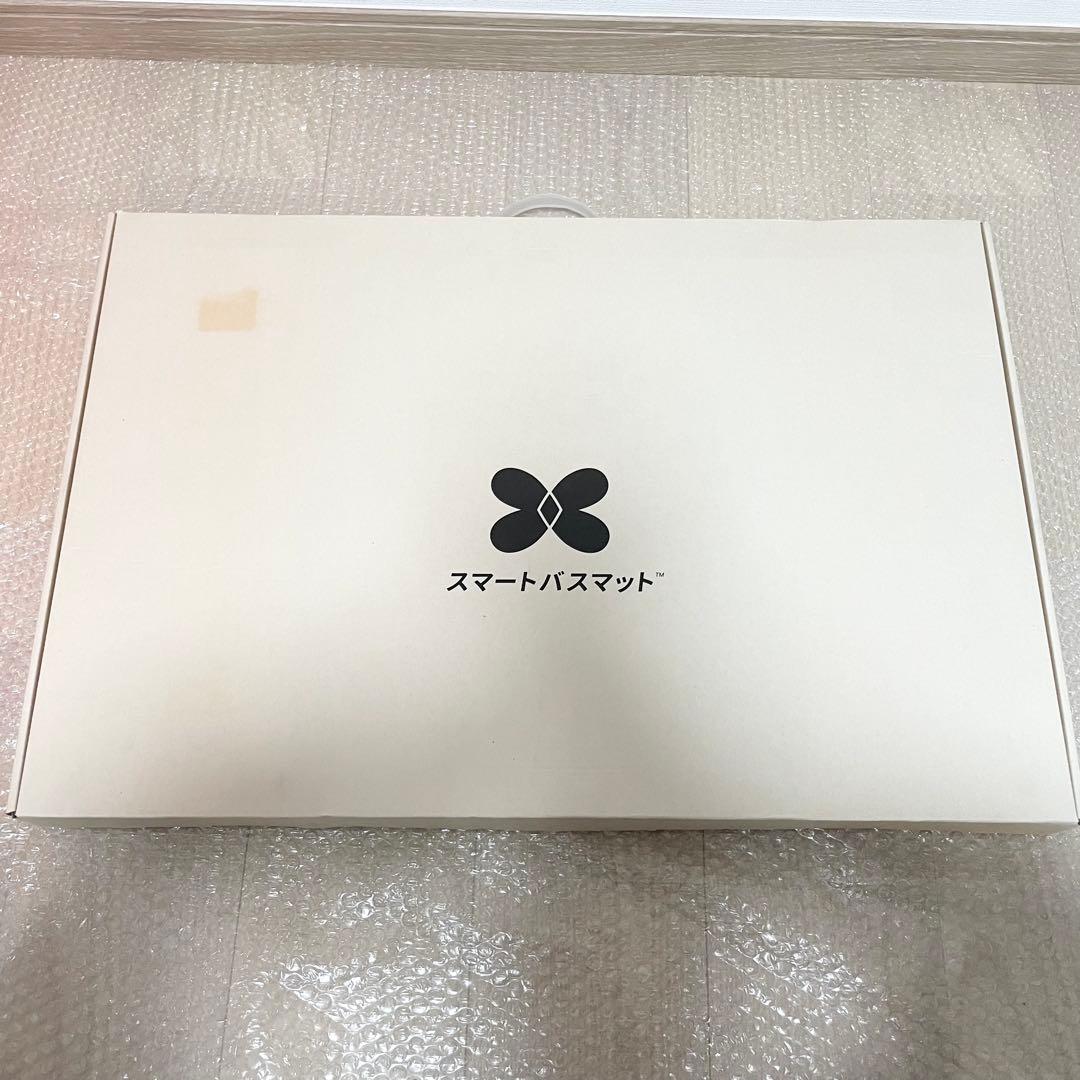 新品未使用 issin スマートバスマット ソフト珪藻土マット付き グレー