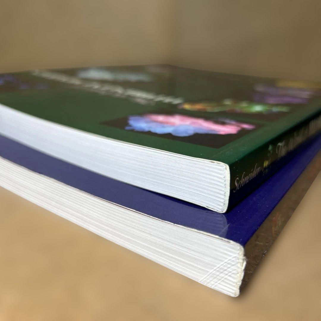 洋書 Fluorescent Minerals/Stuart L. Schneider