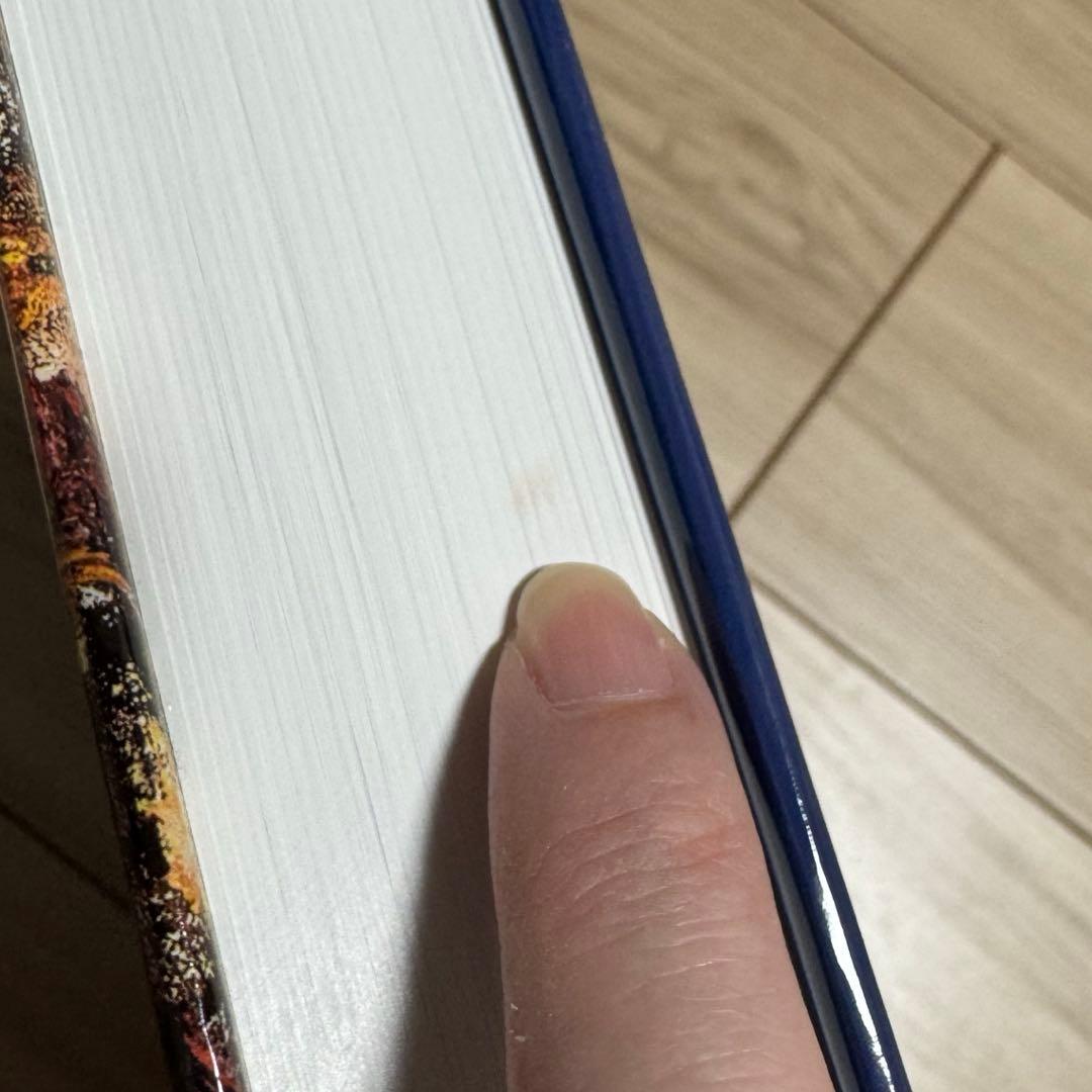 【入手困難】ニコライ・フェーシン　作品集