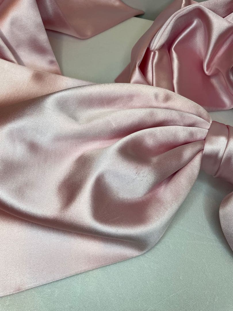 Sandy Liang Regalo Bag In Carnation バッグ