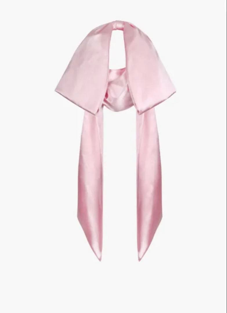 Sandy Liang Regalo Bag In Carnation バッグ