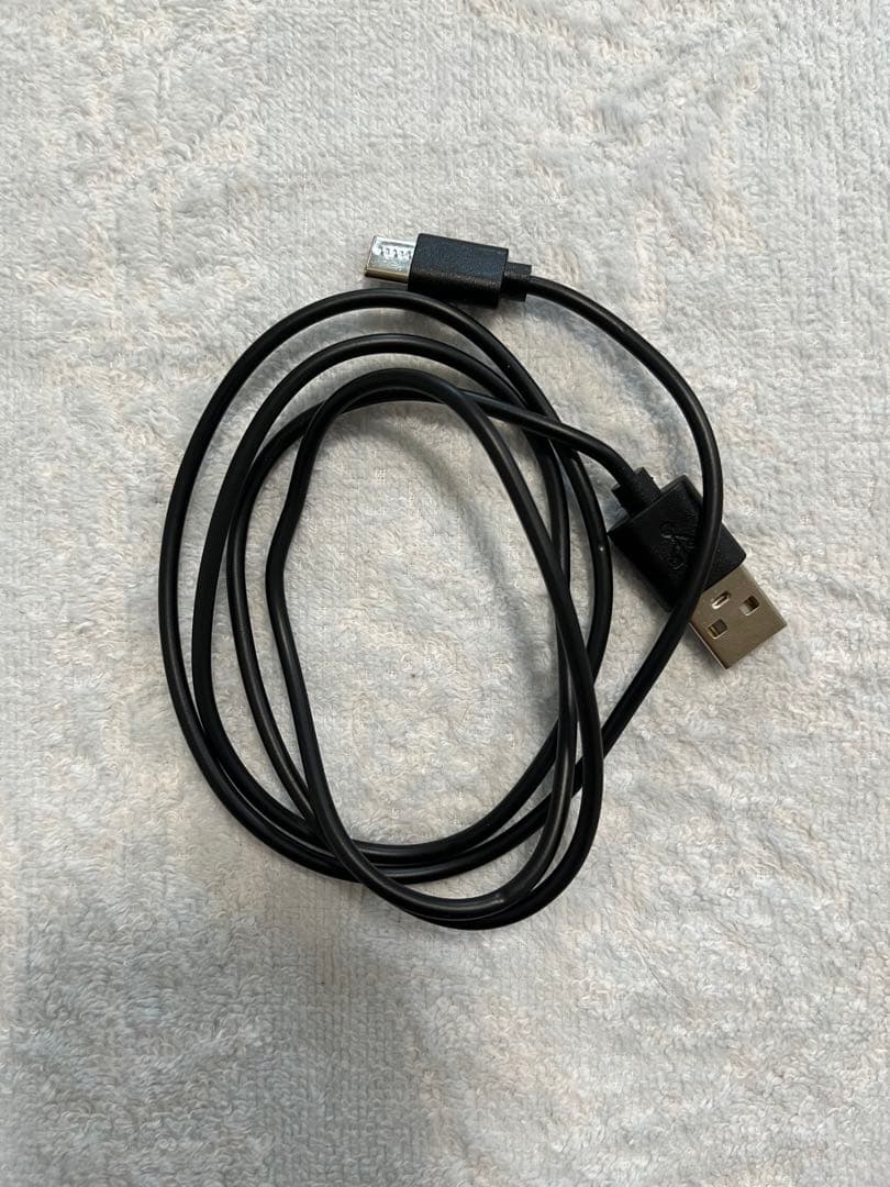 Nintendo Switch Lite コーラル2020年製（付属品有）