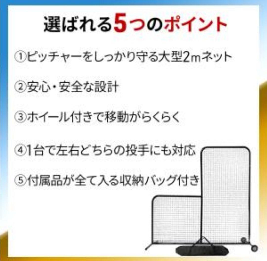 【3/18までの限定販売】野球　防球ネット　バッティングネット