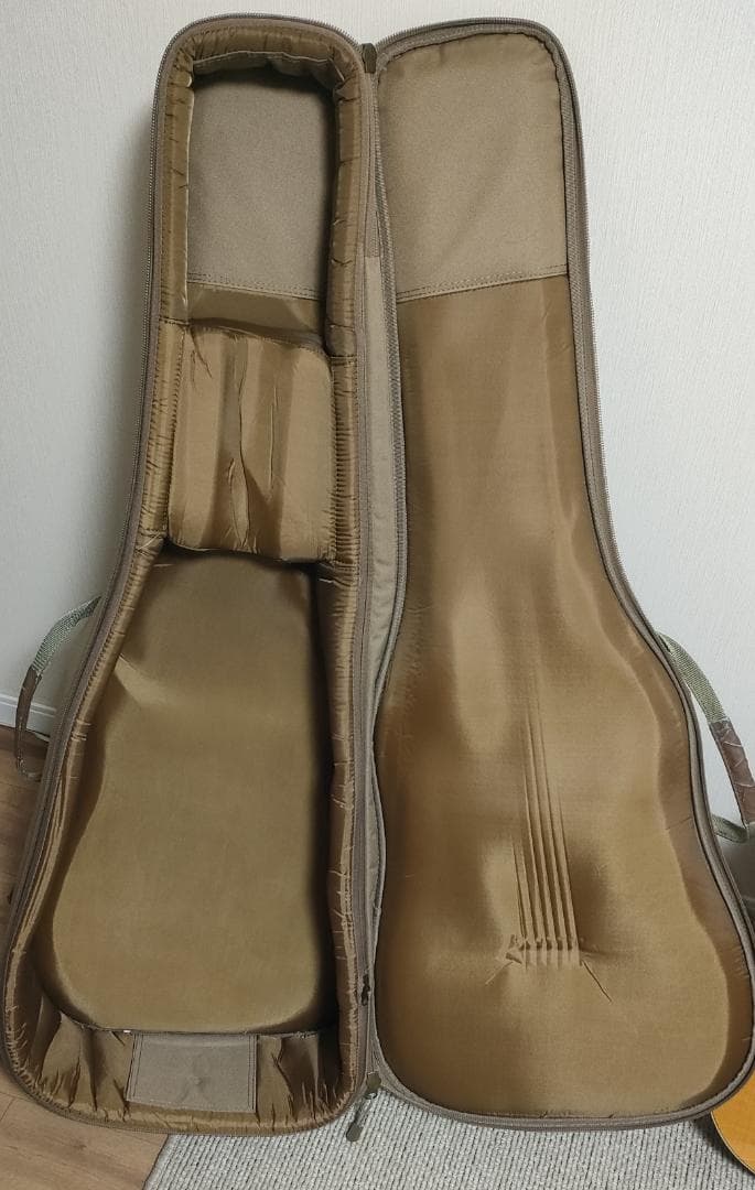 Taylor 214ce エレアコ アコースティックギター 純正ケース付き