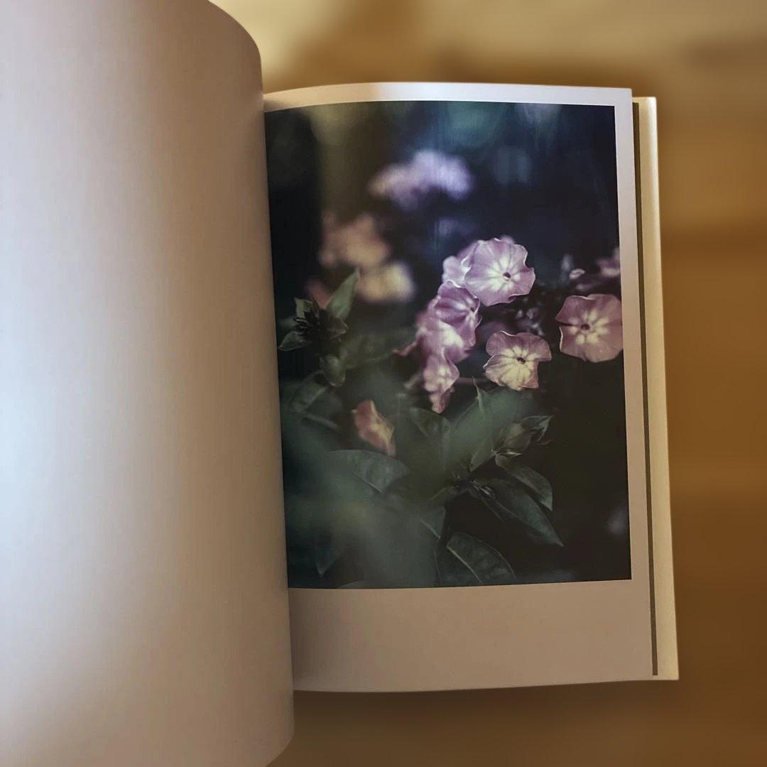 Darren Almond 写真集The Civil Dawns