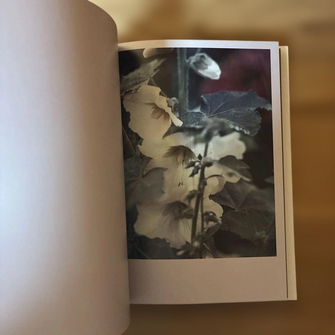 Darren Almond 写真集The Civil Dawns