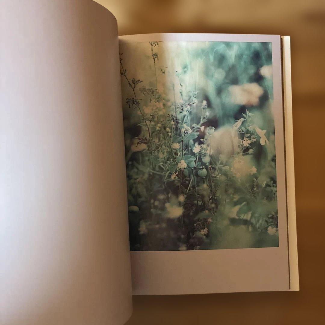 Darren Almond 写真集The Civil Dawns