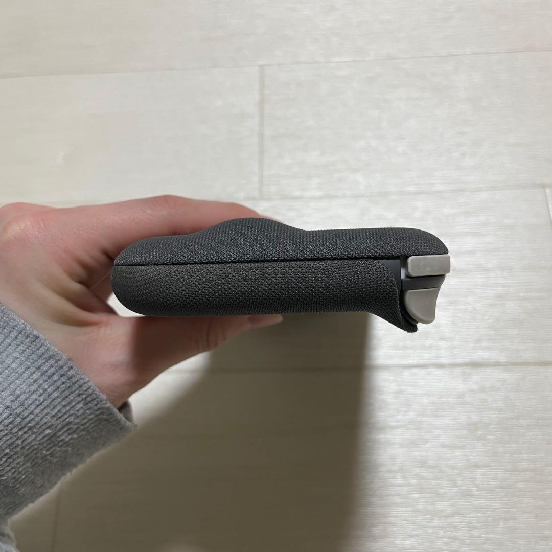 Nintendo Switch Lite グレー 本体　＋おまけ付き