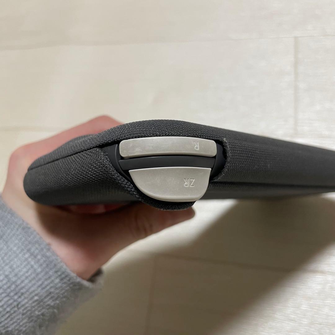 Nintendo Switch Lite グレー 本体　＋おまけ付き