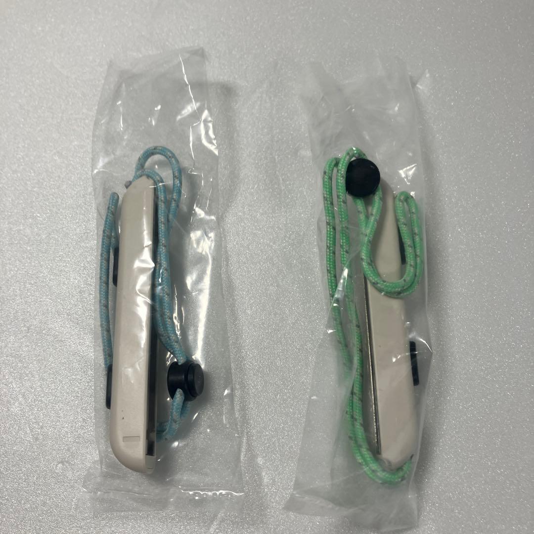 【携帯ケース付】Nintendo Switch あつまれ どうぶつの森セット