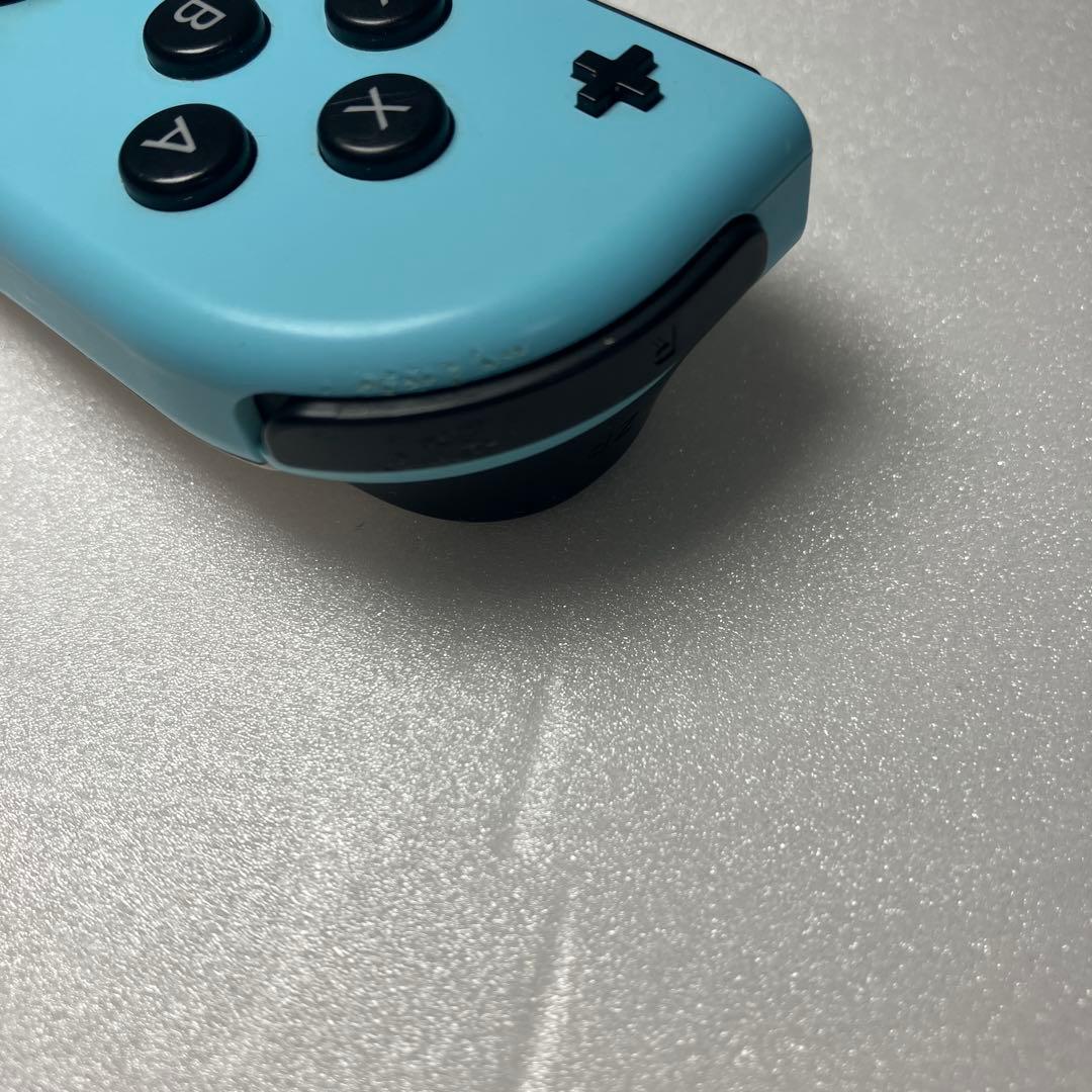 【携帯ケース付】Nintendo Switch あつまれ どうぶつの森セット