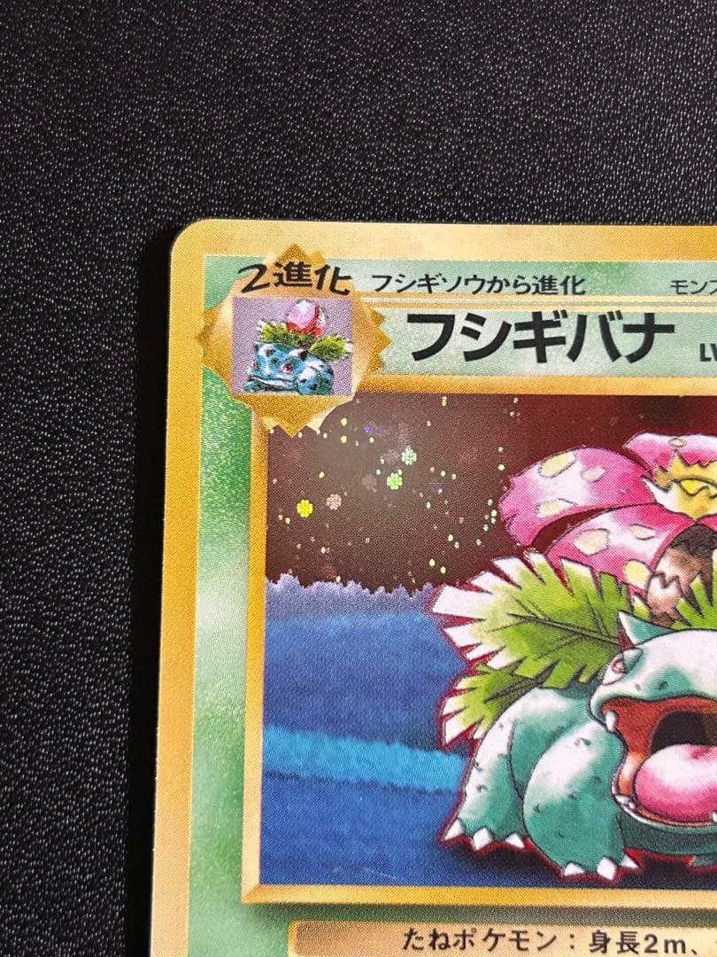 【美品】【旧裏】ポケモン御三家セット