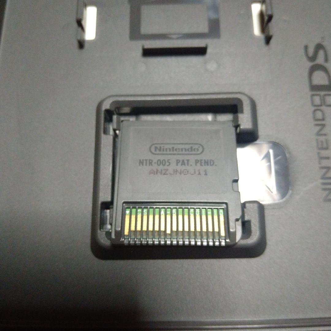 ニュージーランドストーリーDS