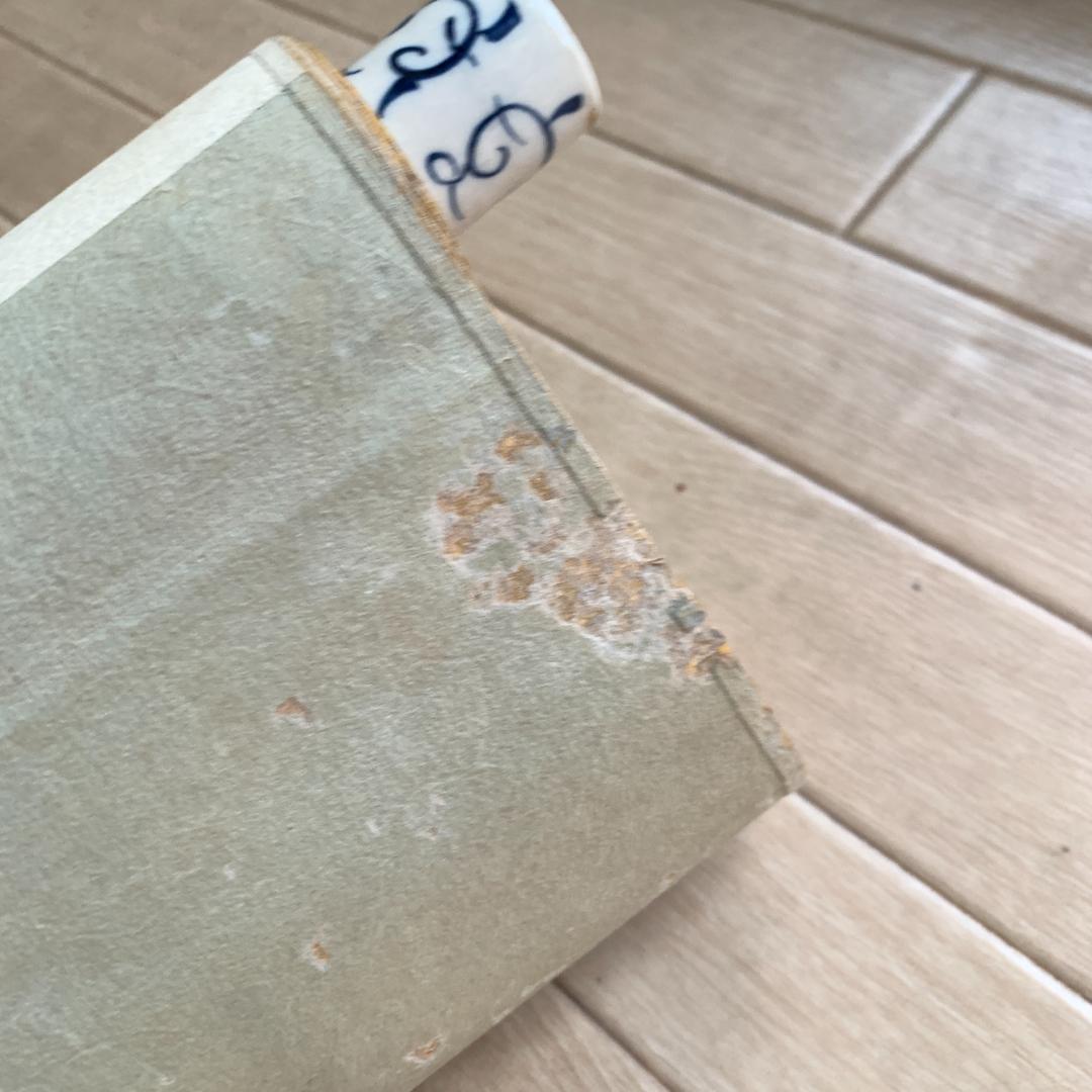 掛け軸 瀧の国　古物　肉筆　絹本