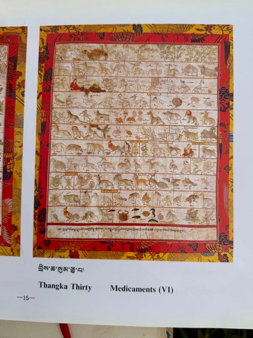 希少）チベット　医学書　ヴィンテージ　大型本　ヨガ　瞑想　健康