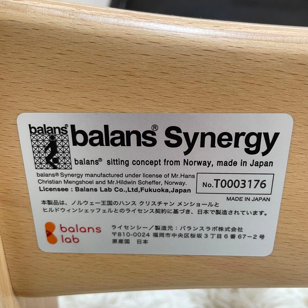 はな丸様用　balance synergy バランス 姿勢矯正チェア シナジー