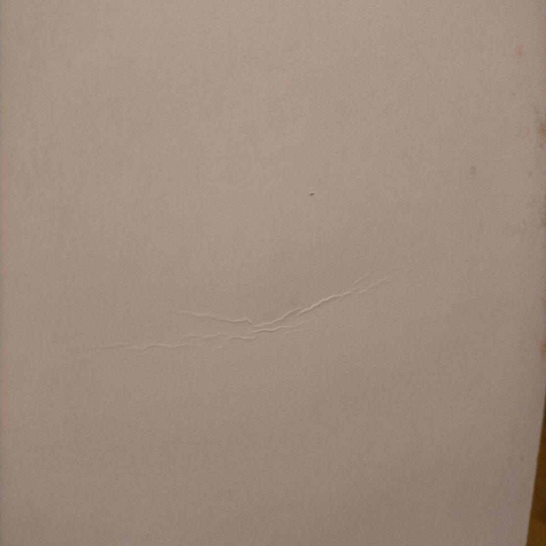 ドラゴンボールカードダス25弾 筐体台紙