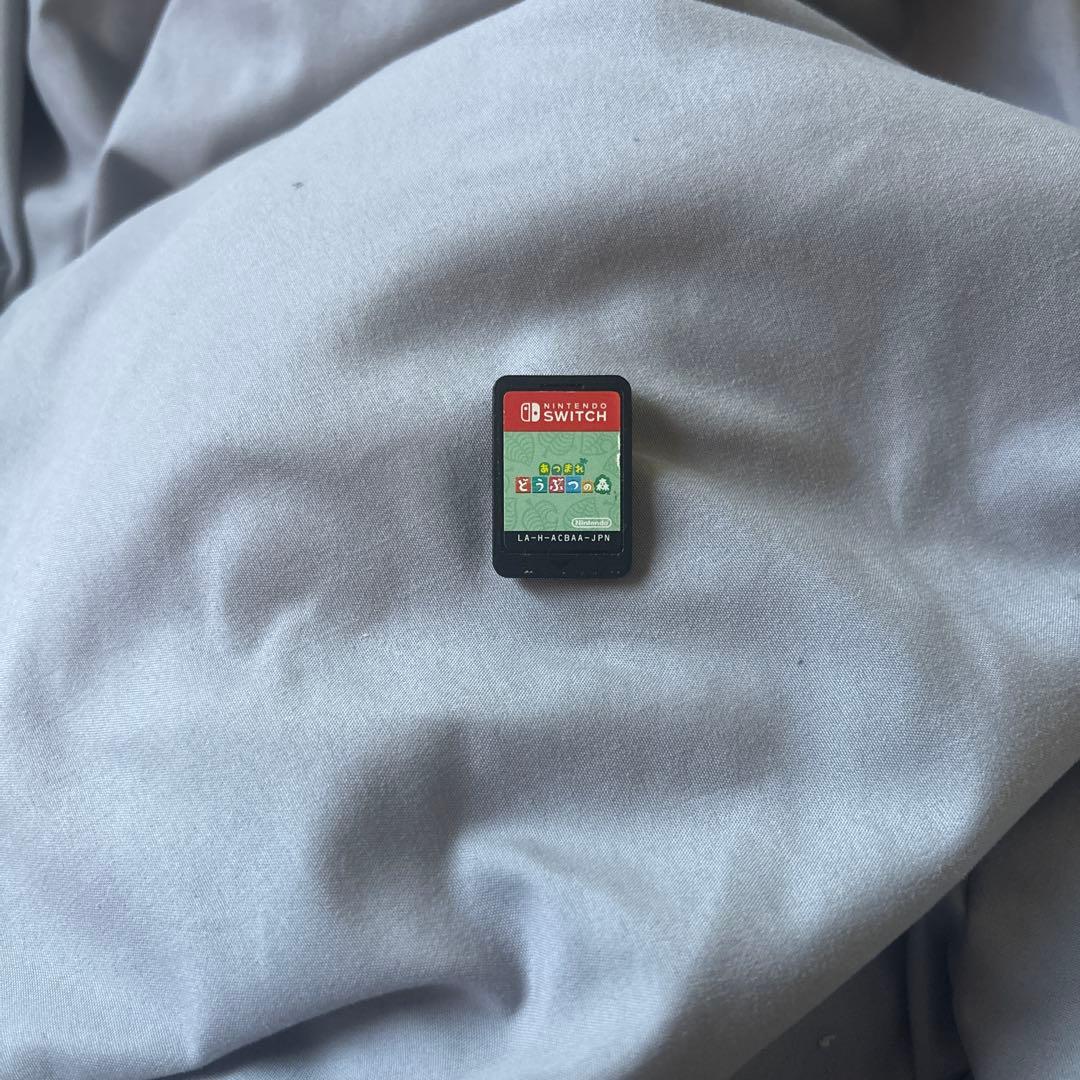 専用 Nintendo Switch Lite ターコイズ あつまれどうぶ