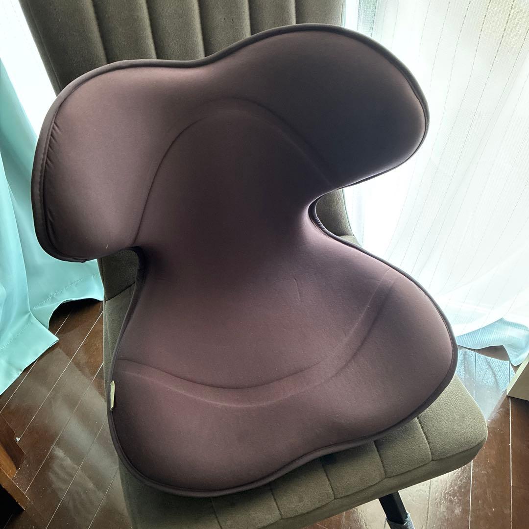 MTG スタイルスマート Style SMART 姿勢矯正 チェア