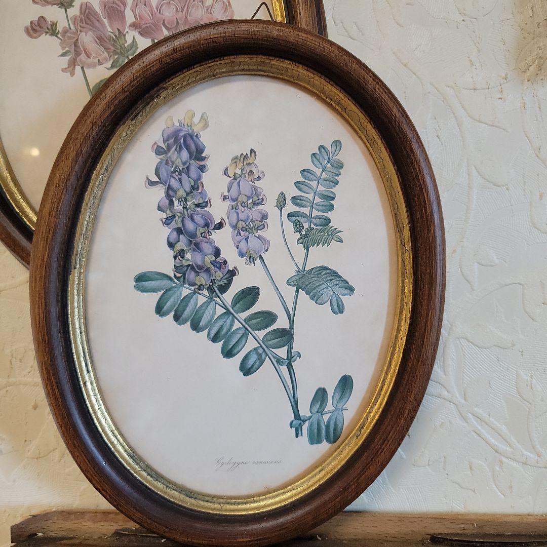 くれは様用です！！　ヴィンテージ　イタリア製　ボタニカルアート　2つ